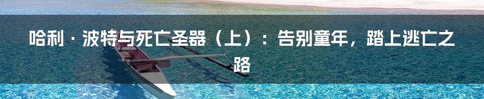 哈利·波特与死亡圣器（上）：告别童年，踏上逃亡之路