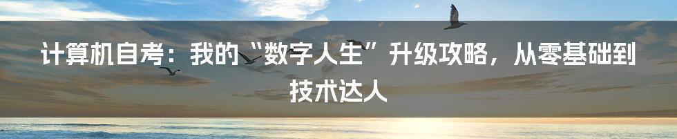 计算机自考：我的“数字人生”升级攻略，从零基础到技术达人