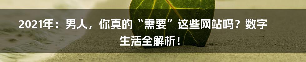 2021年：男人，你真的“需要”这些网站吗？数字生活全解析！