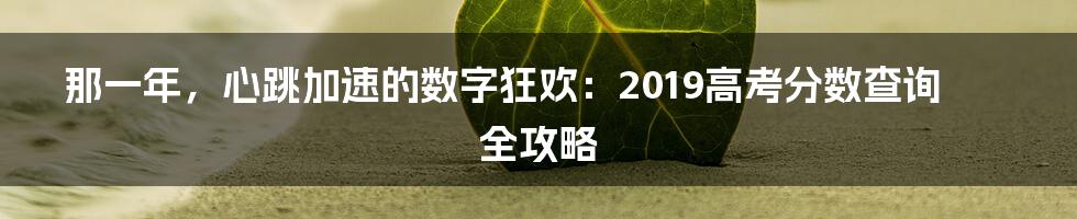那一年，心跳加速的数字狂欢：2019高考分数查询全攻略