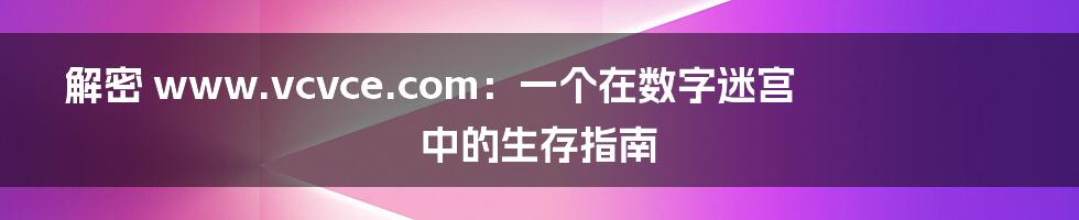 解密 www.vcvce.com：一个在数字迷宫中的生存指南