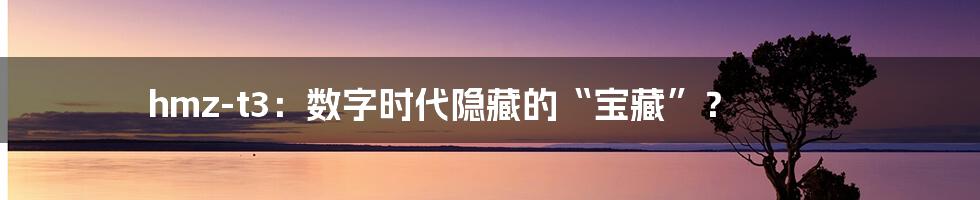 hmz-t3：数字时代隐藏的“宝藏”？