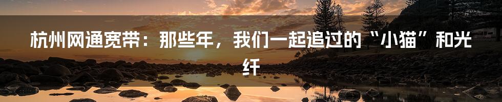 杭州网通宽带：那些年，我们一起追过的“小猫”和光纤