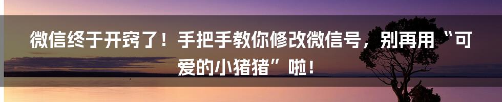 微信终于开窍了！手把手教你修改微信号，别再用“可爱的小猪猪”啦！