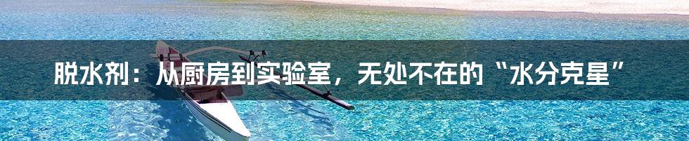 脱水剂：从厨房到实验室，无处不在的“水分克星”