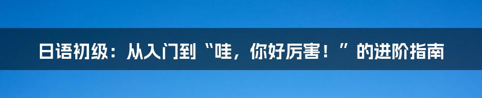 日语初级：从入门到“哇，你好厉害！”的进阶指南