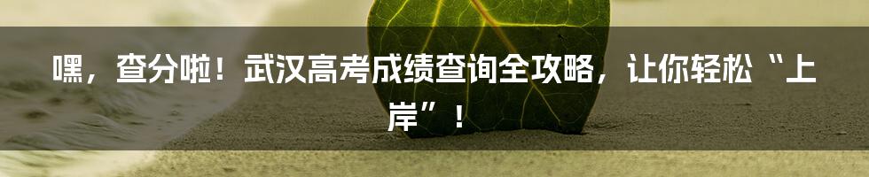 嘿，查分啦！武汉高考成绩查询全攻略，让你轻松“上岸”！