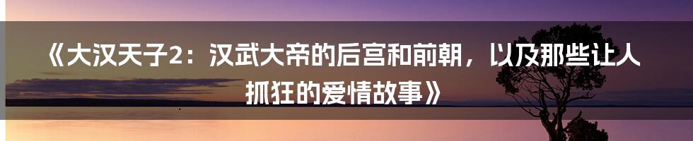 《大汉天子2：汉武大帝的后宫和前朝，以及那些让人抓狂的爱情故事》