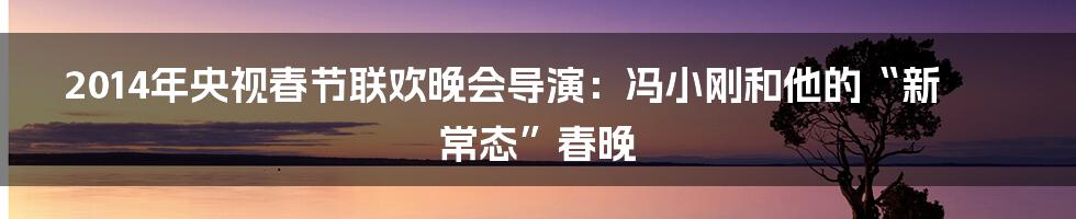 2014年央视春节联欢晚会导演：冯小刚和他的“新常态”春晚