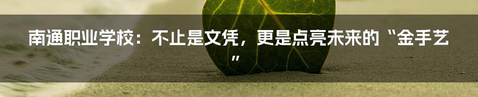 南通职业学校：不止是文凭，更是点亮未来的“金手艺”