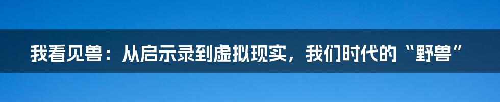 我看见兽：从启示录到虚拟现实，我们时代的“野兽”