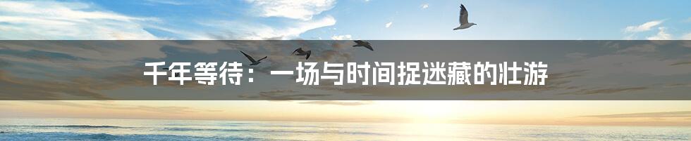 千年等待：一场与时间捉迷藏的壮游