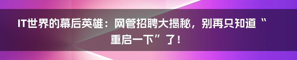 IT世界的幕后英雄：网管招聘大揭秘，别再只知道“重启一下”了！