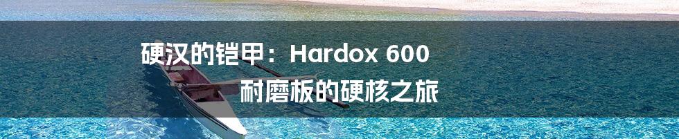 硬汉的铠甲：Hardox 600 耐磨板的硬核之旅