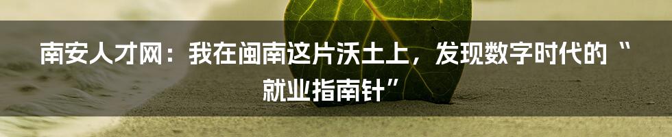 南安人才网：我在闽南这片沃土上，发现数字时代的“就业指南针”
