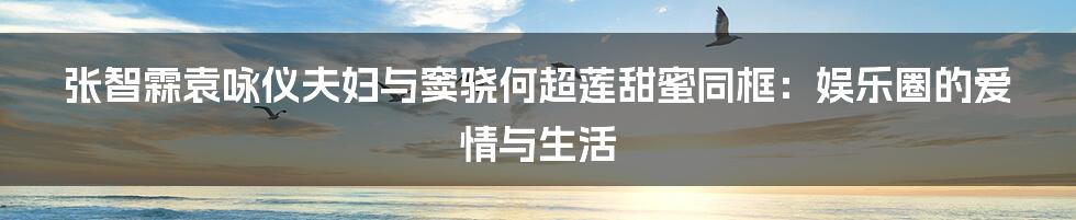 张智霖袁咏仪夫妇与窦骁何超莲甜蜜同框：娱乐圈的爱情与生活