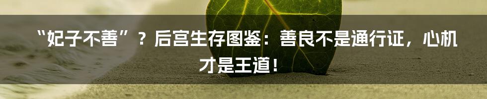 “妃子不善”？后宫生存图鉴：善良不是通行证，心机才是王道！