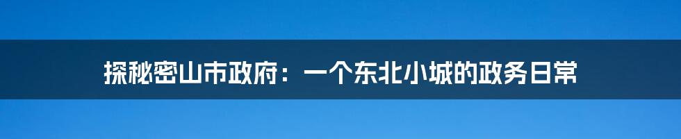 探秘密山市政府：一个东北小城的政务日常
