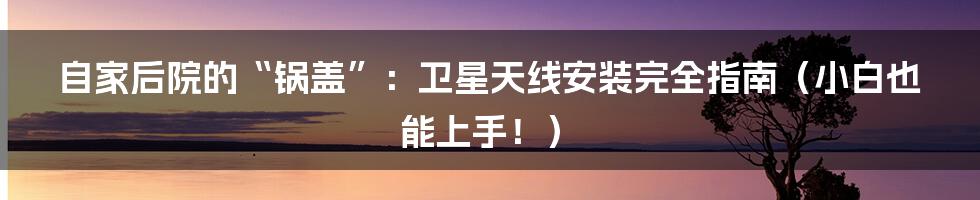 自家后院的“锅盖”：卫星天线安装完全指南（小白也能上手！）