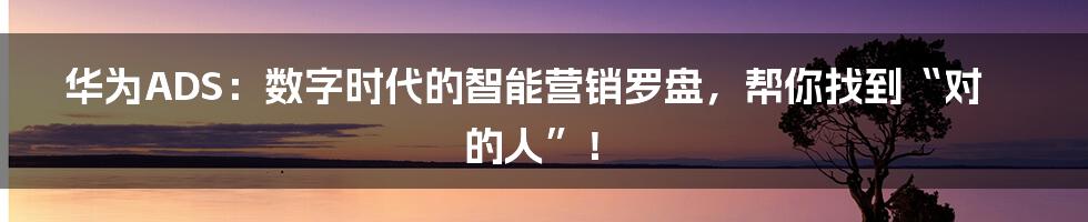 华为ADS：数字时代的智能营销罗盘，帮你找到“对的人”！