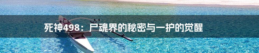 死神498：尸魂界的秘密与一护的觉醒