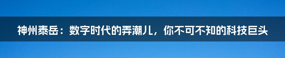 神州泰岳：数字时代的弄潮儿，你不可不知的科技巨头