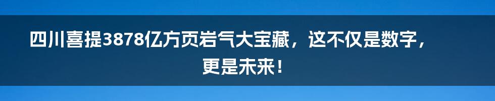 四川喜提3878亿方页岩气大宝藏，这不仅是数字，更是未来！