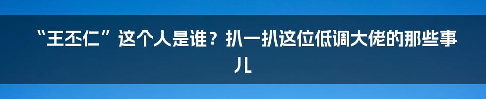 “王丕仁”这个人是谁？扒一扒这位低调大佬的那些事儿