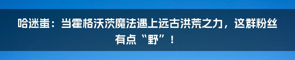 哈迷蚩：当霍格沃茨魔法遇上远古洪荒之力，这群粉丝有点“野”！