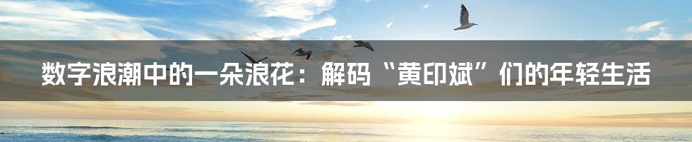 数字浪潮中的一朵浪花：解码“黄印斌”们的年轻生活