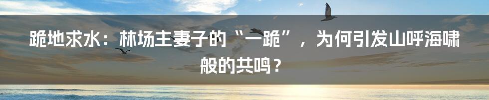 跪地求水：林场主妻子的“一跪”，为何引发山呼海啸般的共鸣？