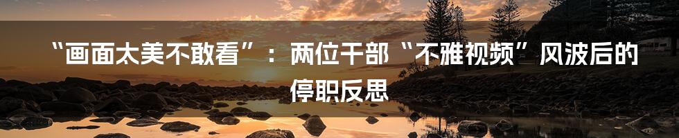 “画面太美不敢看”：两位干部“不雅视频”风波后的停职反思