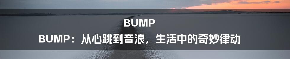 BUMP BUMP：从心跳到音浪，生活中的奇妙律动