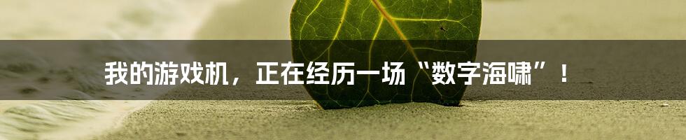 我的游戏机，正在经历一场“数字海啸”！