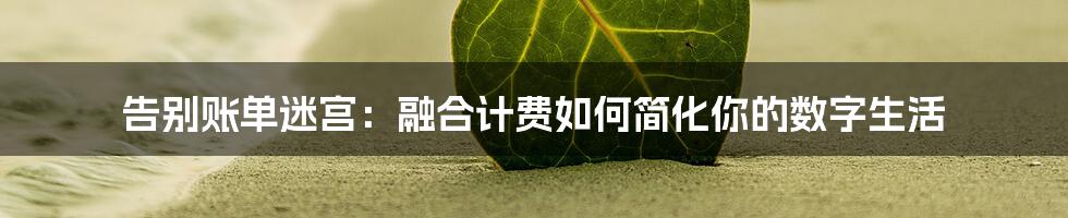 告别账单迷宫：融合计费如何简化你的数字生活