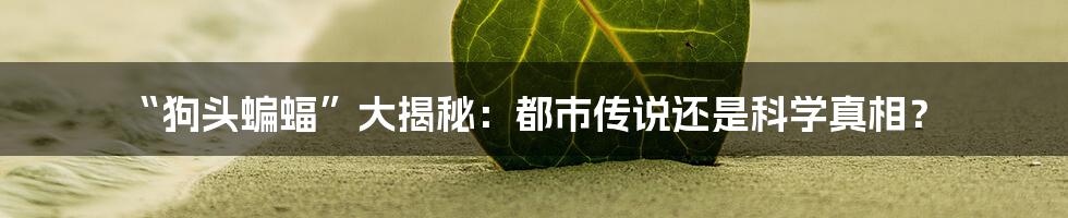 “狗头蝙蝠”大揭秘：都市传说还是科学真相？