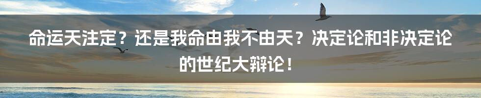 命运天注定？还是我命由我不由天？决定论和非决定论的世纪大辩论！