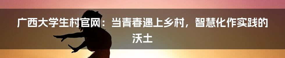 广西大学生村官网：当青春遇上乡村，智慧化作实践的沃土