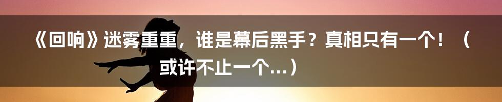 《回响》迷雾重重，谁是幕后黑手？真相只有一个！（或许不止一个...）