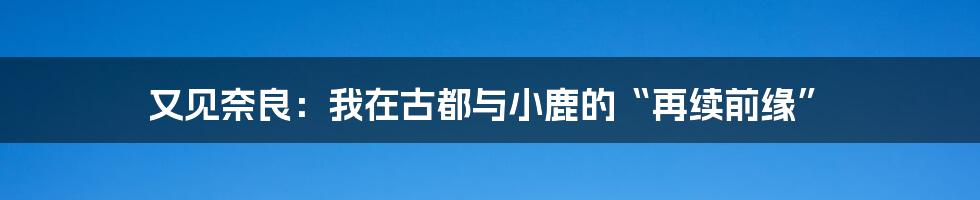 又见奈良：我在古都与小鹿的“再续前缘”