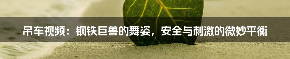 吊车视频：钢铁巨兽的舞姿，安全与刺激的微妙平衡
