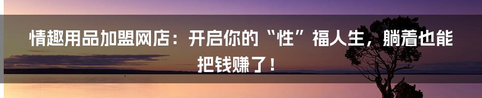 情趣用品加盟网店：开启你的“性”福人生，躺着也能把钱赚了！