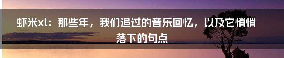 虾米xl：那些年，我们追过的音乐回忆，以及它悄悄落下的句点