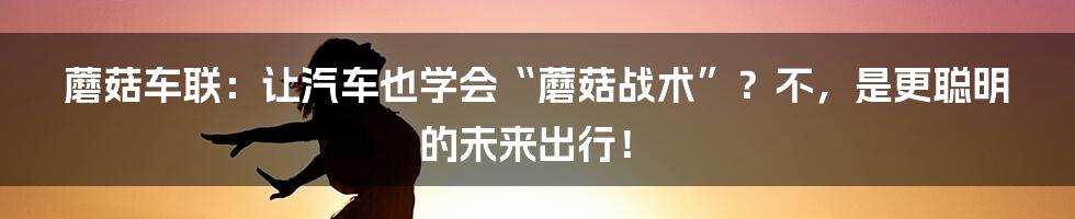 蘑菇车联：让汽车也学会“蘑菇战术”？不，是更聪明的未来出行！
