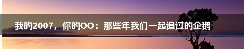 我的2007，你的QQ：那些年我们一起追过的企鹅