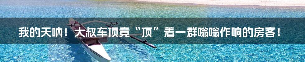 我的天呐！大叔车顶竟“顶”着一群嗡嗡作响的房客！