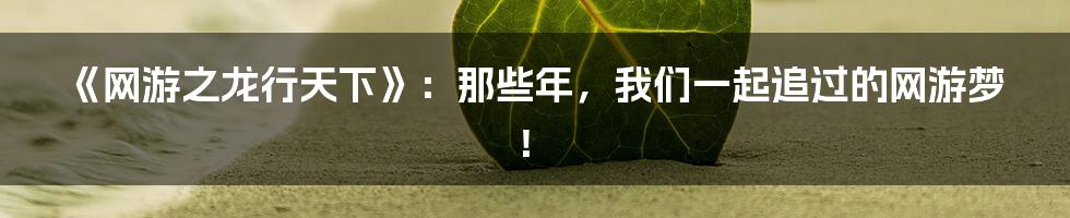 《网游之龙行天下》：那些年，我们一起追过的网游梦！