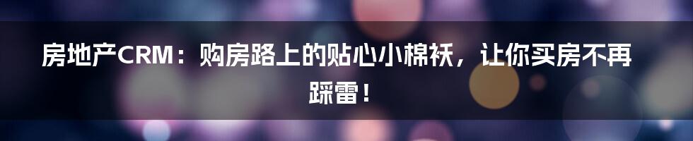 房地产CRM：购房路上的贴心小棉袄，让你买房不再踩雷！