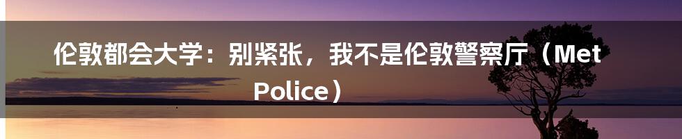 伦敦都会大学：别紧张，我不是伦敦警察厅（Met Police）
