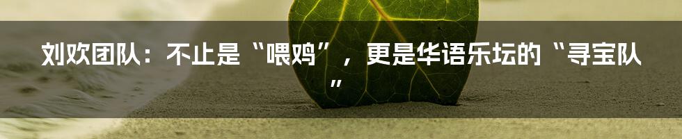 刘欢团队：不止是“喂鸡”，更是华语乐坛的“寻宝队”